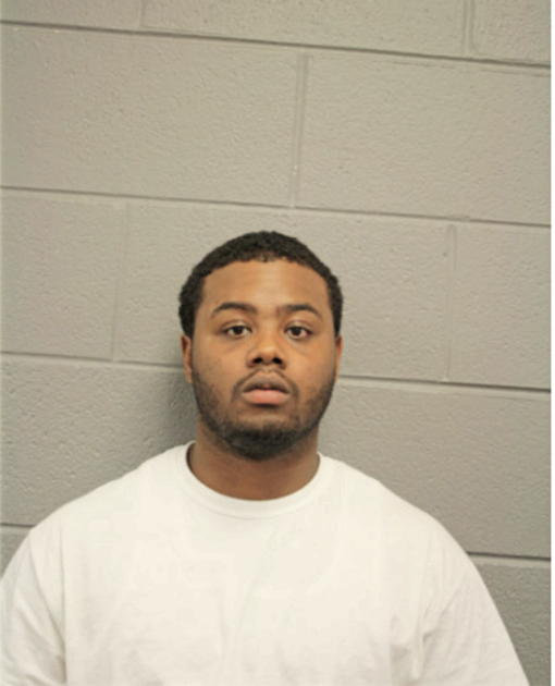 ERIC T ANDERSON, Cook County, Illinois