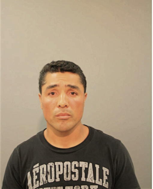 GUSTAVO ENRIQUE ANDRADE, Cook County, Illinois
