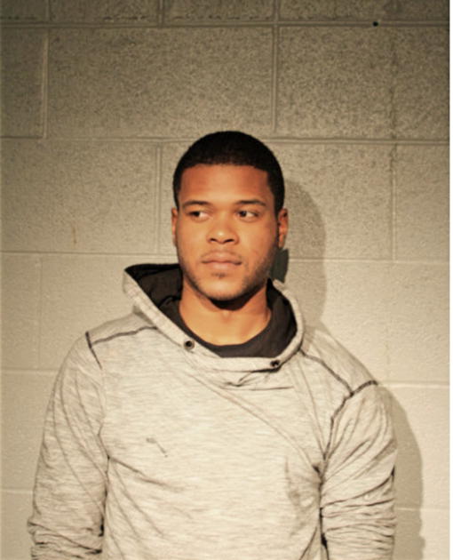 IRVIN L BARRETT, Cook County, Illinois