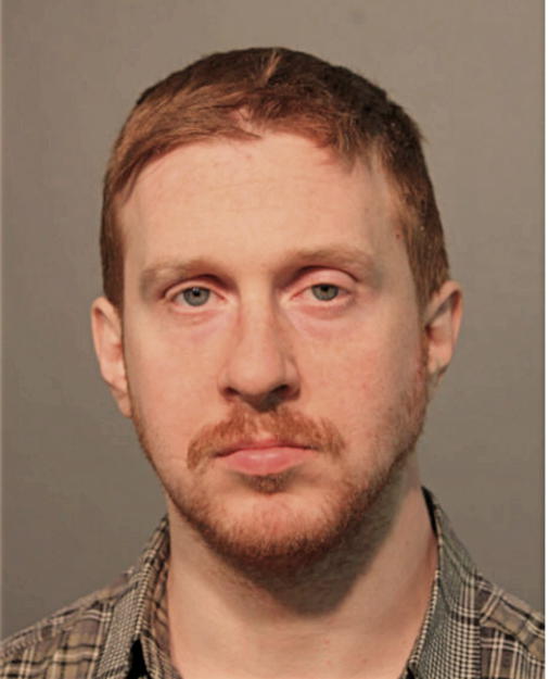 RYAN L BRANDIS, Cook County, Illinois