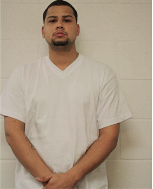 LOUIS BRONGE, Cook County, Illinois
