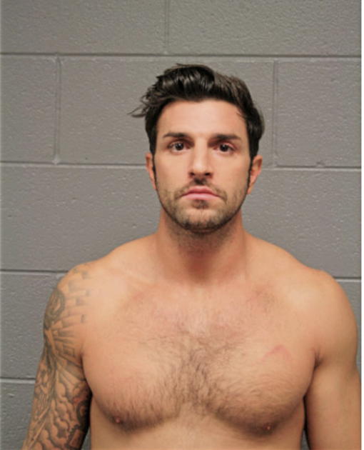 MICHAEL J CAPECCI, Cook County, Illinois