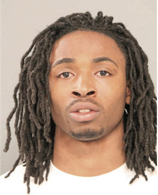 TERRANCE E COOK, Cook County, Illinois