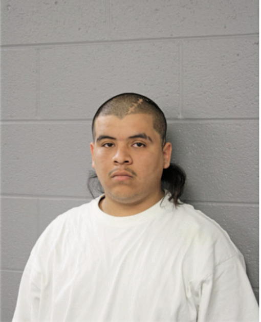 OSCAR DIAZ, Cook County, Illinois