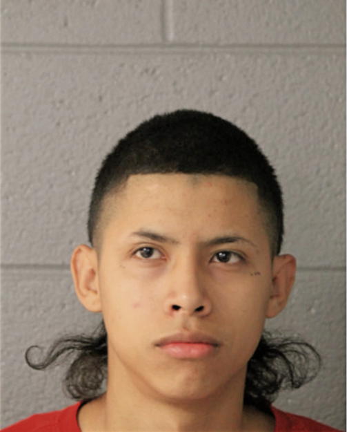 HUMBERTO GAMINO, Cook County, Illinois