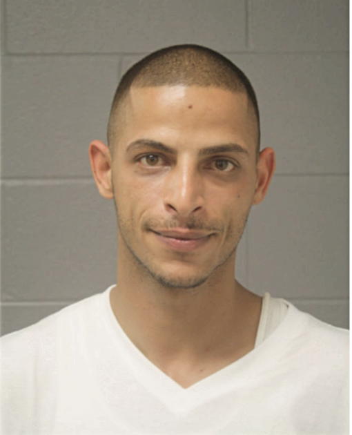 JONATHAN F GEORGES, Cook County, Illinois