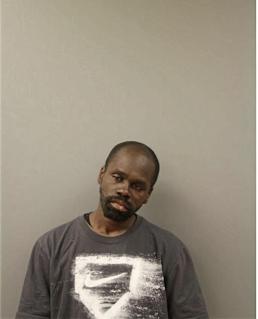 MICHAEL D HOPSON, Cook County, Illinois