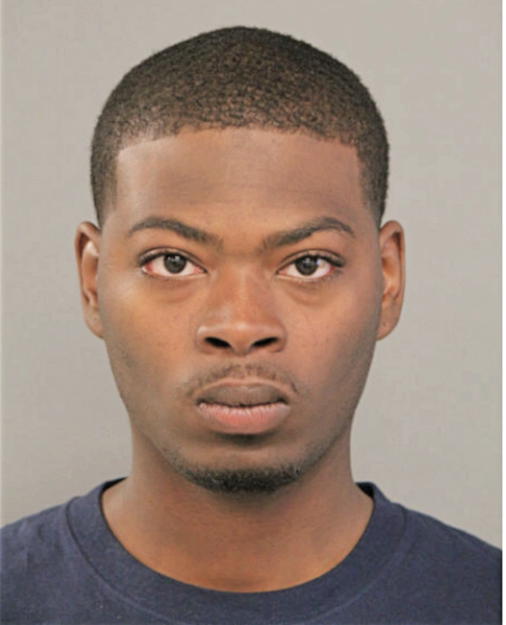 MICHAEL P LEE, Cook County, Illinois