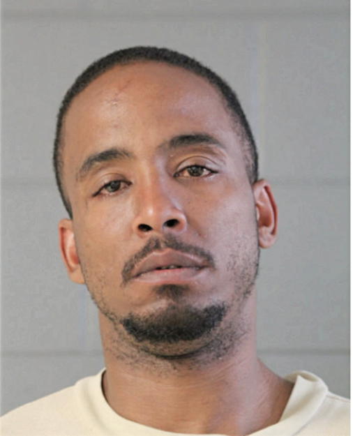 DANIEL L LIGON, Cook County, Illinois