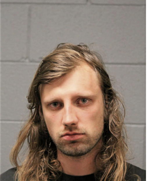 YAN SERGIYENKO, Cook County, Illinois
