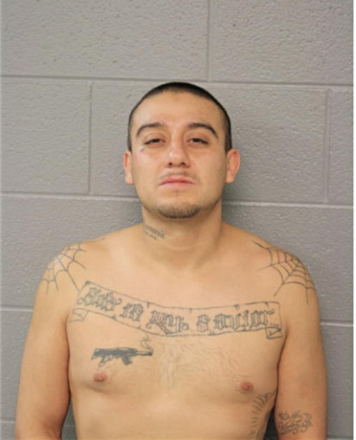 JOSE M VACA, Cook County, Illinois