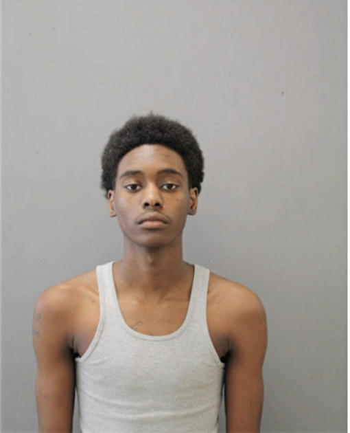 EMANUEL G VINSON, Cook County, Illinois