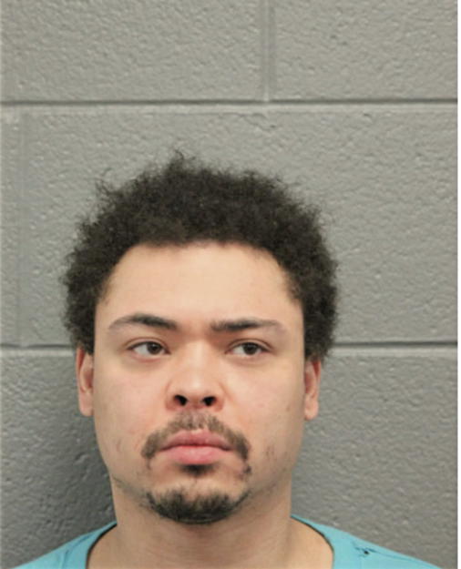 SHAWN M WILLIAMS, Cook County, Illinois