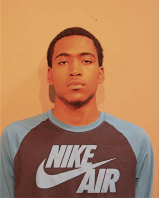 DESHAWN A ADAMS, Cook County, Illinois