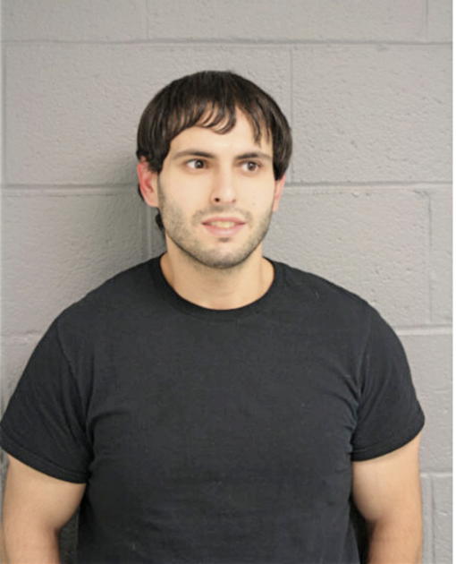 BASSEL ALSAID, Cook County, Illinois