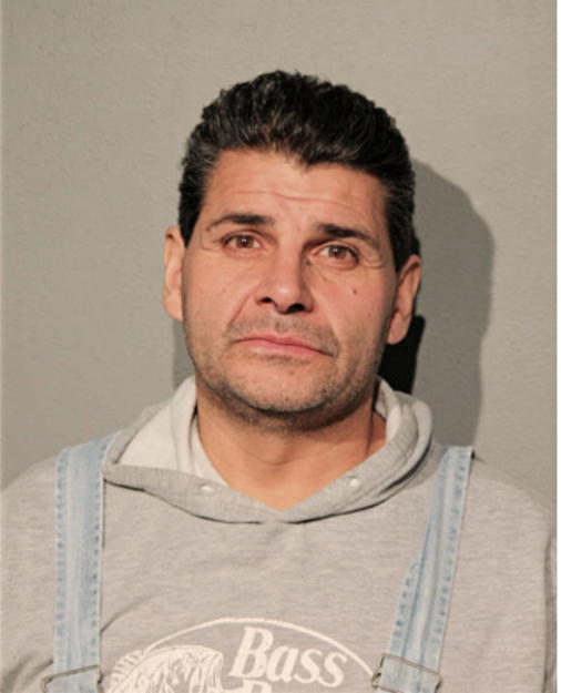 JOSE L ANAYA, Cook County, Illinois