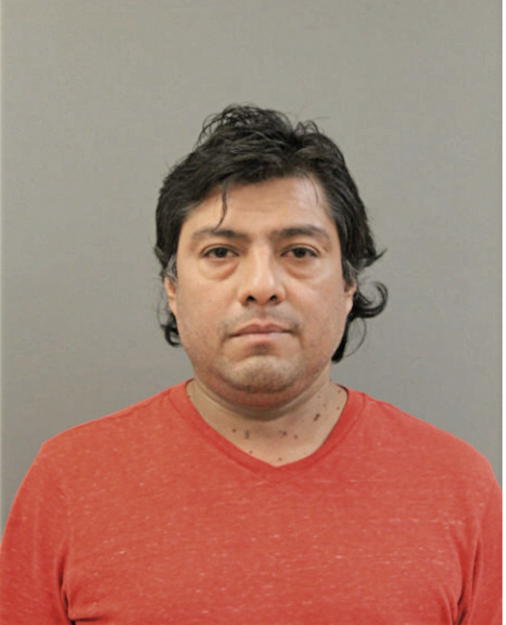 RIBELINO BOYAS, Cook County, Illinois