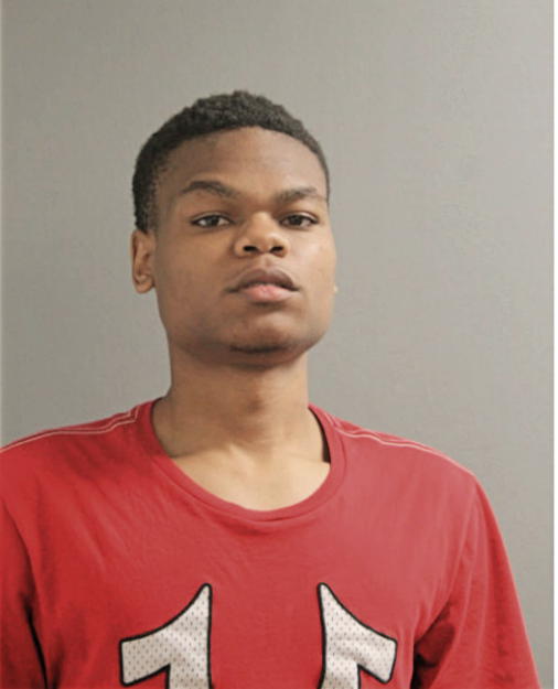 DOREANN D BROWN, Cook County, Illinois