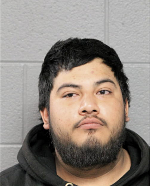 BRANDON G CASTILLO, Cook County, Illinois