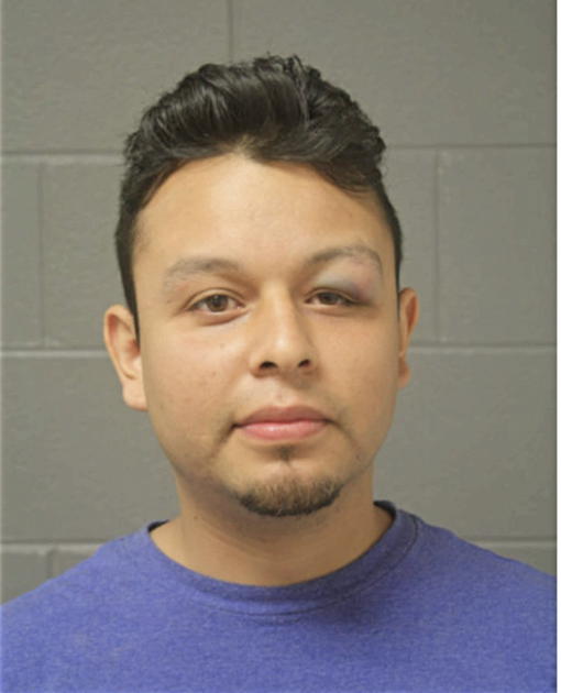 ARNOLD CASTRO, Cook County, Illinois