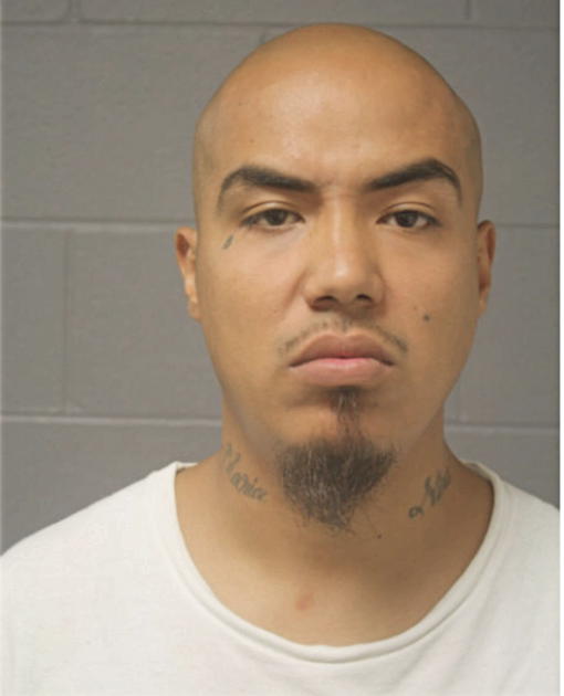 EDGAR F CAZARES, Cook County, Illinois
