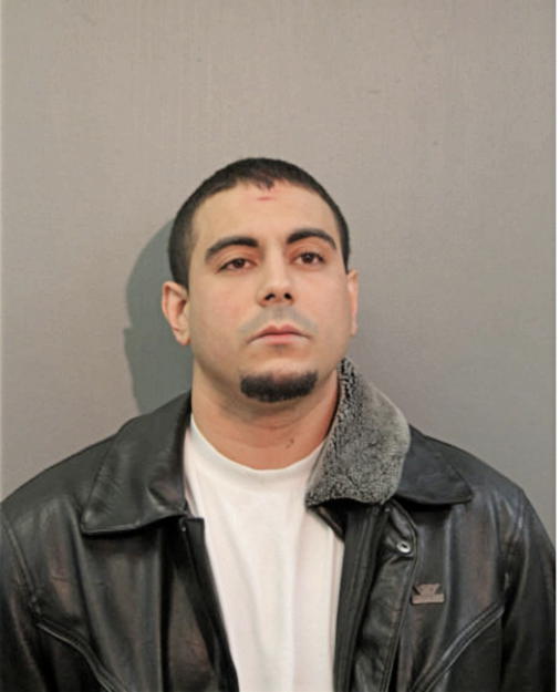 ALFREDO L CEDENO, Cook County, Illinois