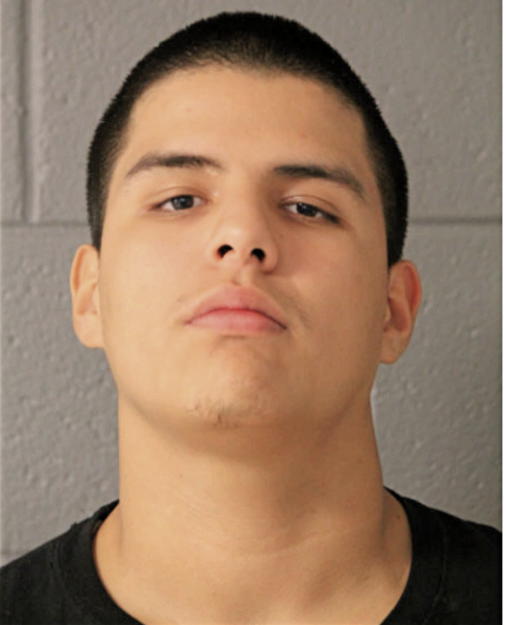 IVAN DAVILA, Cook County, Illinois