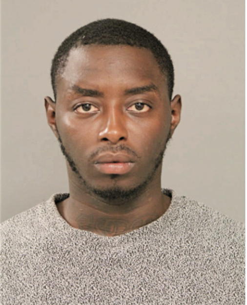 JAMES E EDWARDS, Cook County, Illinois
