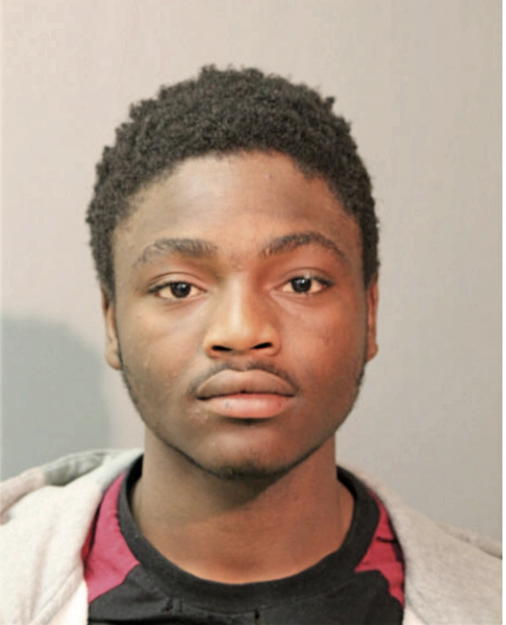 CHRISTOPHER N ELLIS, Cook County, Illinois