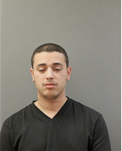 REYNALDO FLORES, Cook County, Illinois