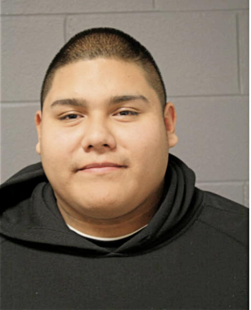 ERIK EMMANUEL GUTIERREZ, Cook County, Illinois