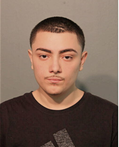 MARCUS A GUZMAN, Cook County, Illinois