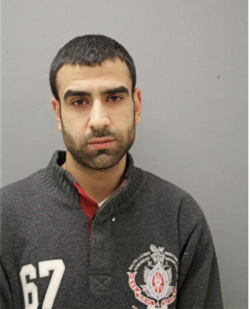 ANAS A HAMAYEL, Cook County, Illinois
