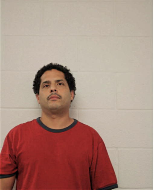 RAFAEL A IRIZARRY, Cook County, Illinois