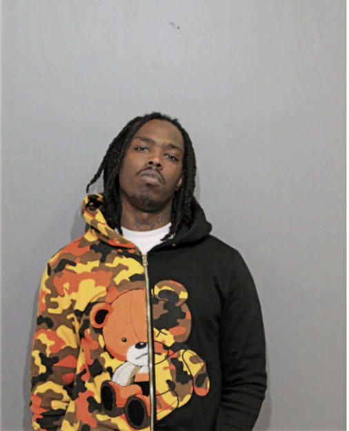ADAM T LANDRY, Cook County, Illinois