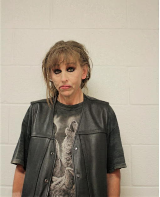 CLAUDIA M MANN, Cook County, Illinois