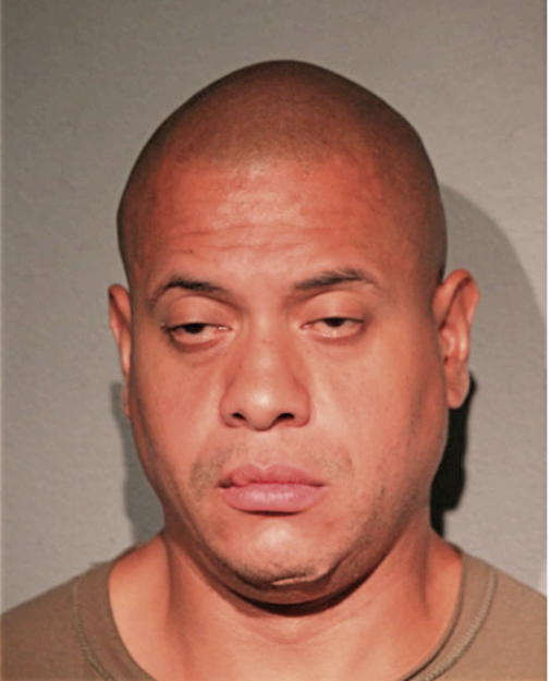 LOUIS A MARTINEZ, Cook County, Illinois