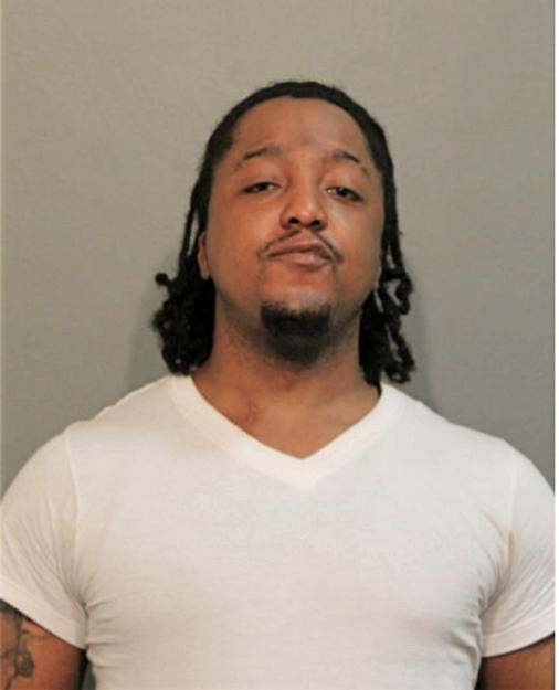 LOUIS A MCKINNEY, Cook County, Illinois