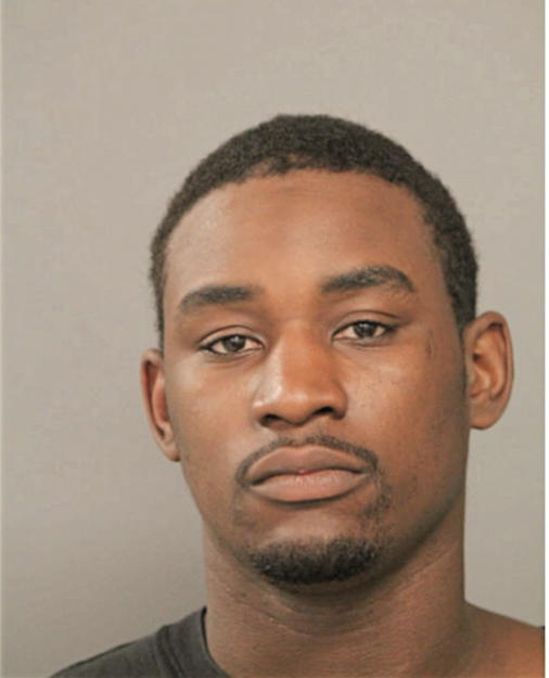 TERRENCE C PIPES, Cook County, Illinois