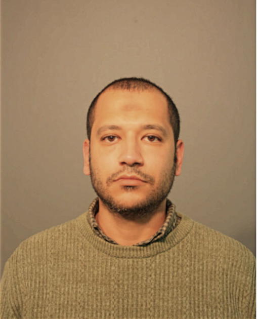AHMED A SAADALLA, Cook County, Illinois