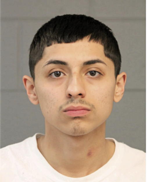 NOEL SANCHEZ, Cook County, Illinois