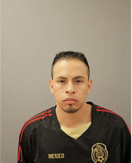 JAVIER TORRES-ZARAGOZA, Cook County, Illinois
