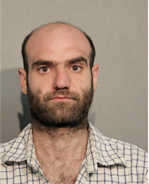 ALIN VALEANU, Cook County, Illinois