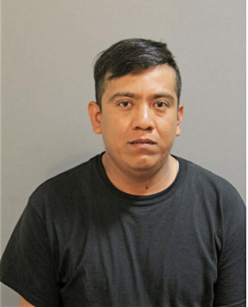 JOSE M VIDAL, Cook County, Illinois