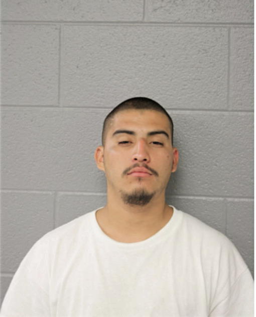 DANIEL VIVEROS, Cook County, Illinois