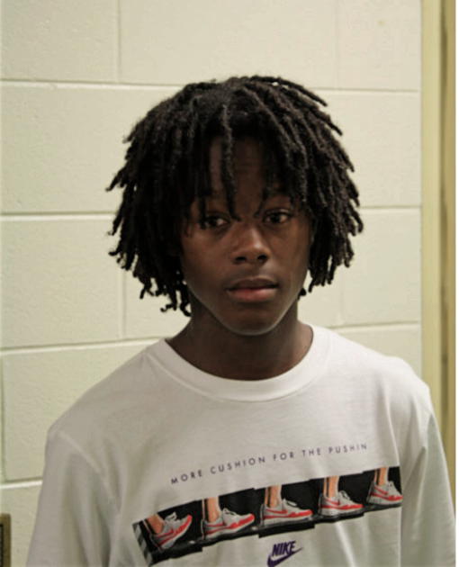 DEVIN D WILSON, Cook County, Illinois
