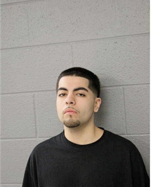 ROBERTO ZAMORA-MEDINA, Cook County, Illinois