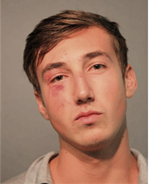 ANDRY ANDRUSHCHAK, Cook County, Illinois