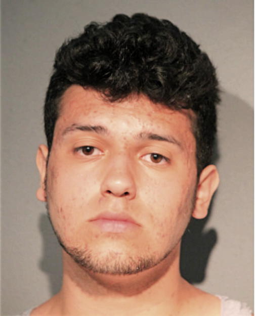 ROBERTO C ARMENDARIZ, Cook County, Illinois