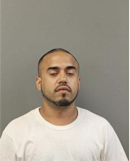 ULYSSES ARROYO, Cook County, Illinois